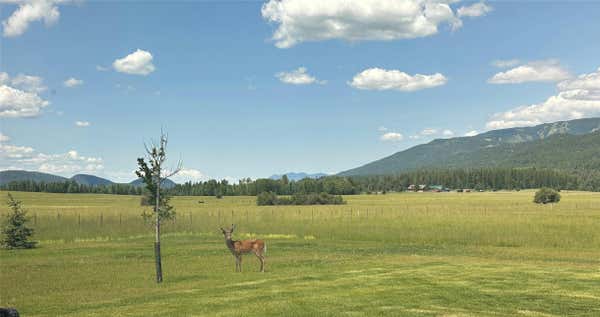 NHN E EDGEWOOD DRIVE, WHITEFISH, MT 59937, photo 2 of 12