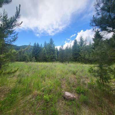 NHN FAIRVIEW DRIVE, SAINT REGIS, MT 59866 - Image 1