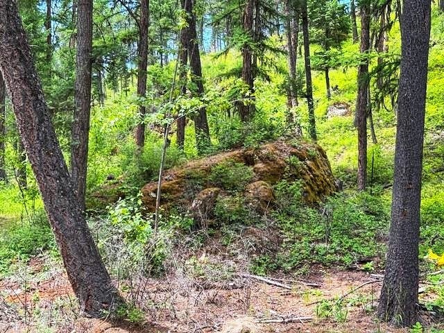 Whitefish, Montana, 59937, United States, 4 Bedrooms Bedrooms, ,3 BathroomsBathrooms,Residential,Active,1889340