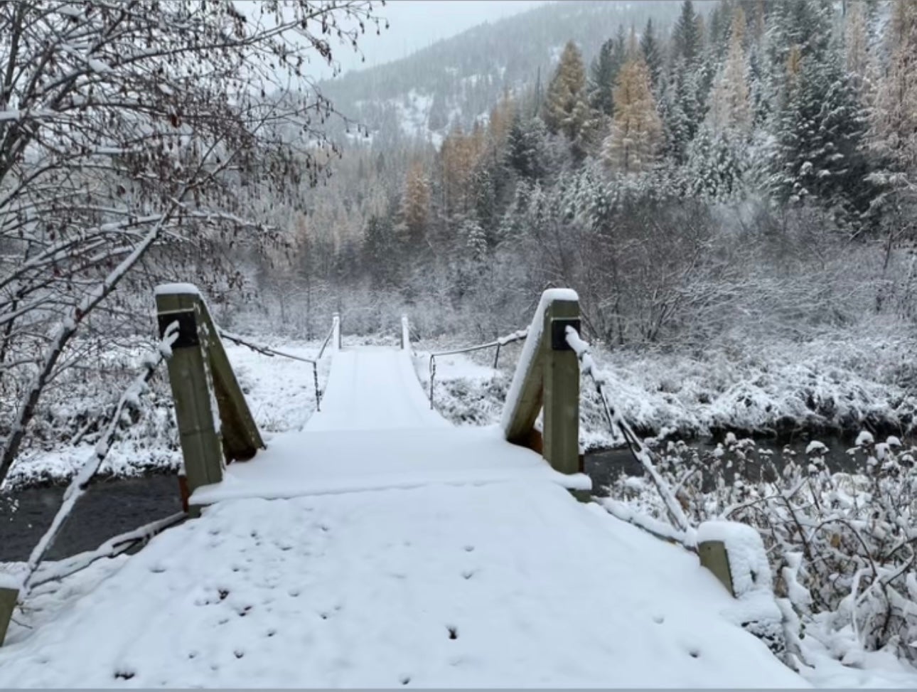 Libby, Montana, 59923, United States, 3 Bedrooms Bedrooms, ,2 BathroomsBathrooms,Residential,Active,1945847