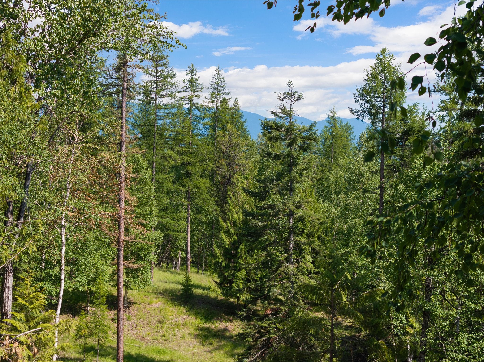 Whitefish, Montana, 59937, United States, 5 Bedrooms Bedrooms, ,3 BathroomsBathrooms,Residential,Active,1764891