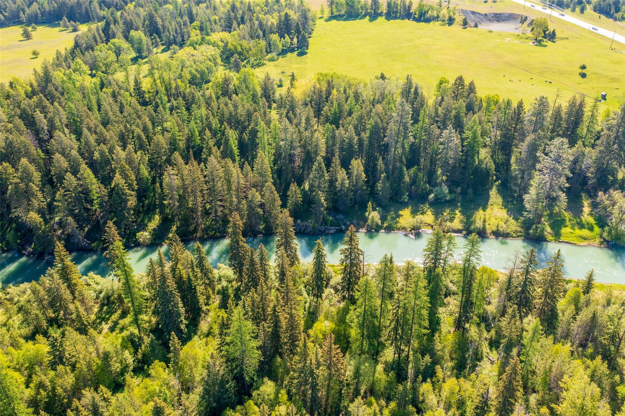 Columbia Falls, Montana, 59912, United States, ,3 BathroomsBathrooms,Residential,Active,1841309