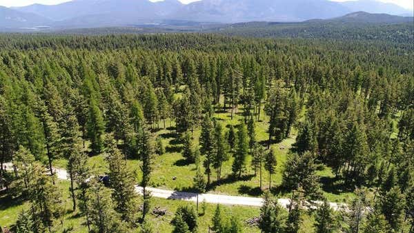 LOT 1B MEADOW SPRINGS, FORTINE, MT 59918 - Image 1