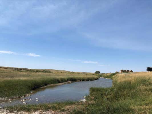 134 LITTLE DRY CREEK, COHAGEN, MT 59322 - Image 1