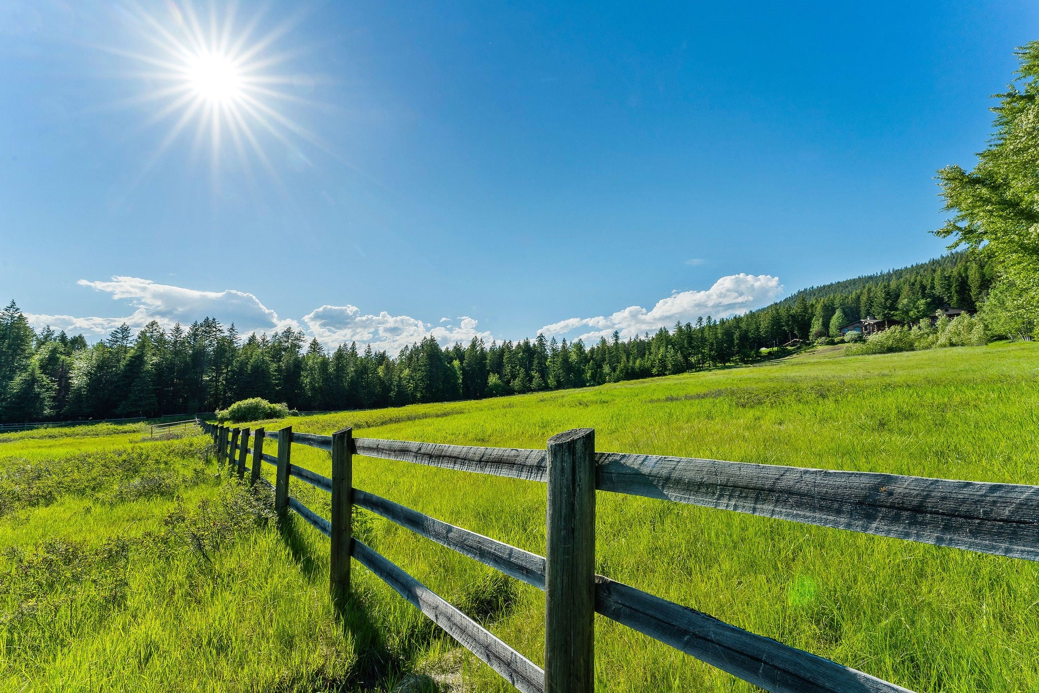 Whitefish, Montana, 59937, United States, ,9 BathroomsBathrooms,Residential,Active,1769536