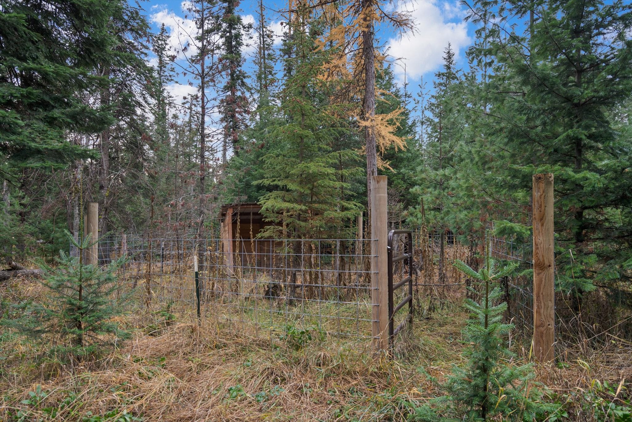 Kalispell, Montana, 59901, United States, 6 Bedrooms Bedrooms, ,5 BathroomsBathrooms,Residential,Active,1990648