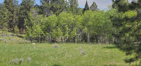 12 HALL CREEK TRACTS, HELMVILLE, MT 59843 - Image 1