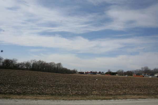 0 WILMINGTON PEOTONE ROAD, PEOTONE, IL 60468 - Image 1