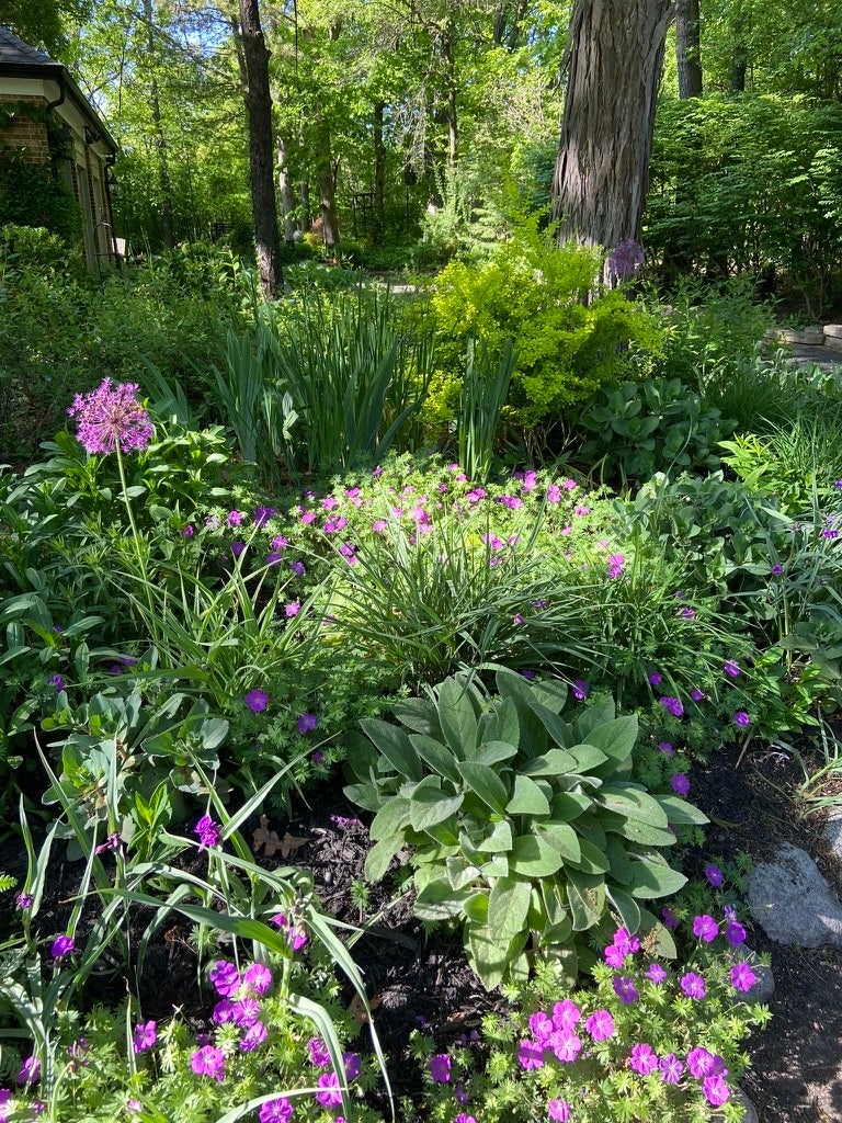 Lincolnshire, Illinois, 60045, United States, 4 Bedrooms Bedrooms, ,3 BathroomsBathrooms,Residential,Pending,2007251