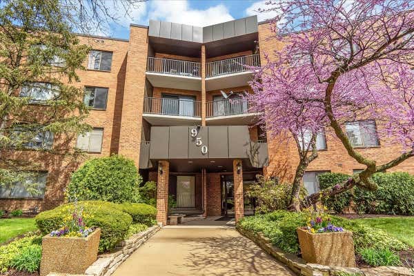 950 E WILMETTE RD UNIT 219, PALATINE, IL 60074 - Image 1