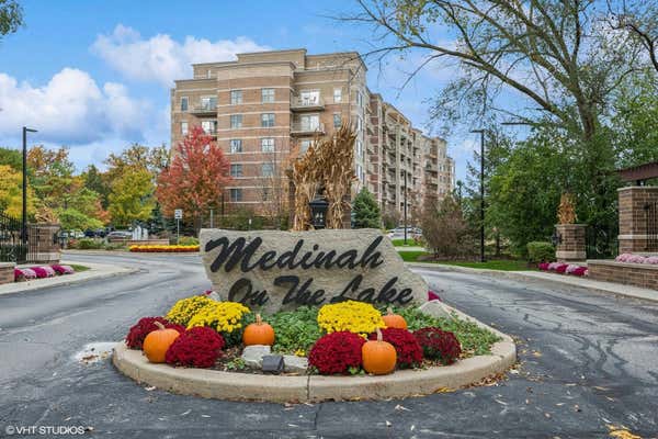 125 LAKEVIEW DR UNIT 313, BLOOMINGDALE, IL 60108 - Image 1