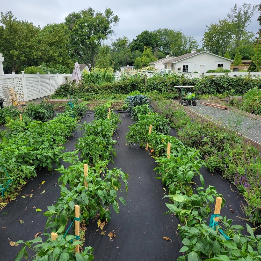 Barrington Hills, Illinois, 60010, United States, 6 Bedrooms Bedrooms, ,5 BathroomsBathrooms,Residential,Active,1987275