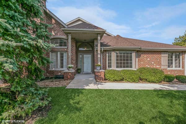 10903 SETTLERS POND CT, FRANKFORT, IL 60423 - Image 1