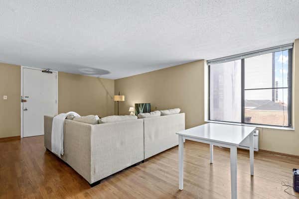 1339 N DEARBORN ST APT 8D, CHICAGO, IL 60610, photo 4 of 18