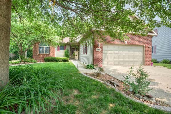 246 TEAL LN, BRAIDWOOD, IL 60408 - Image 1