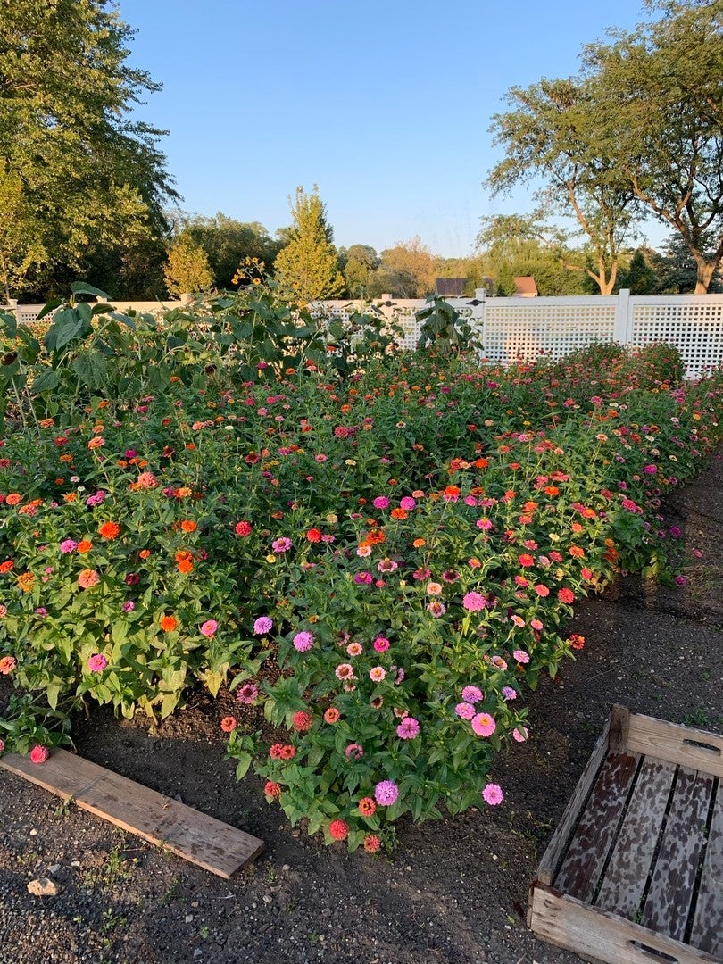 Barrington Hills, Illinois, 60010, United States, 6 Bedrooms Bedrooms, ,5 BathroomsBathrooms,Residential,Active,1987275