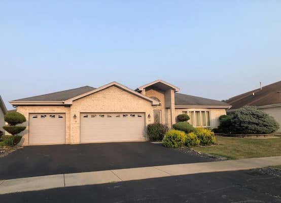 141 MARYVIEW PKWY, MATTESON, IL 60443 - Image 1