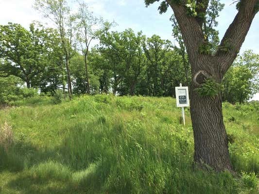 1221 RIDGEMOOR TRL LOT 20, BULL VALLEY, IL 60098 - Image 1