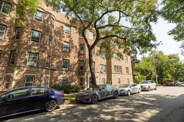 803 ELMWOOD AVE APT 3N, EVANSTON, IL 60202 - Image 1