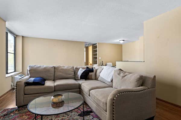 1339 N DEARBORN ST APT 8D, CHICAGO, IL 60610, photo 3 of 18