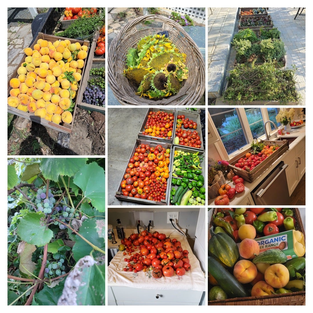 Barrington Hills, Illinois, 60010, United States, 6 Bedrooms Bedrooms, ,5 BathroomsBathrooms,Residential,Active,1987275