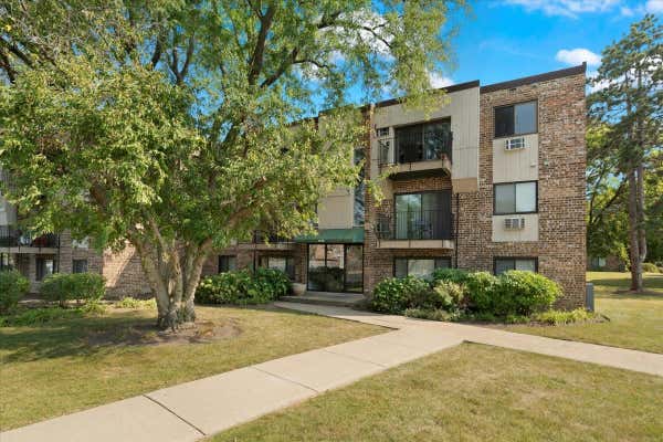 1475 N WINSLOWE DR APT 303, PALATINE, IL 60074 - Image 1