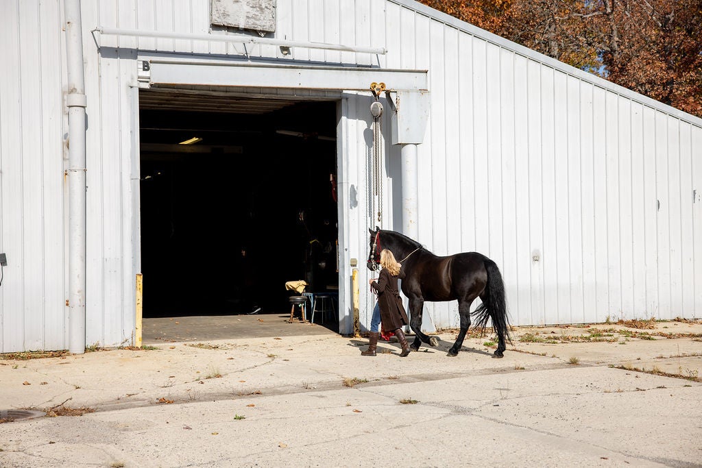 Wadsworth, Illinois, 60083, United States, 5 Bedrooms Bedrooms, ,6 BathroomsBathrooms,Residential,Active,1989775