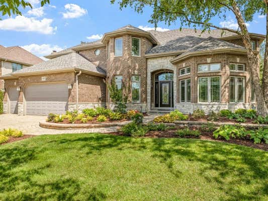 15517 JULIES WAY, ORLAND PARK, IL 60462 - Image 1