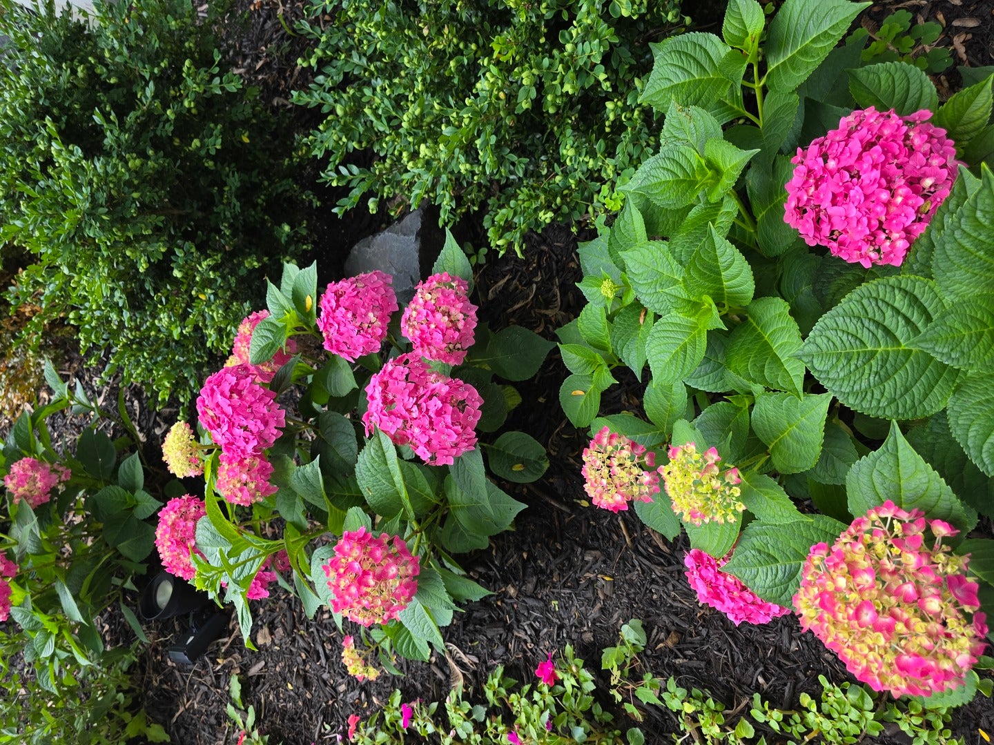 Barrington Hills, Illinois, 60010, United States, 6 Bedrooms Bedrooms, ,4 BathroomsBathrooms,Residential,Active,1987255