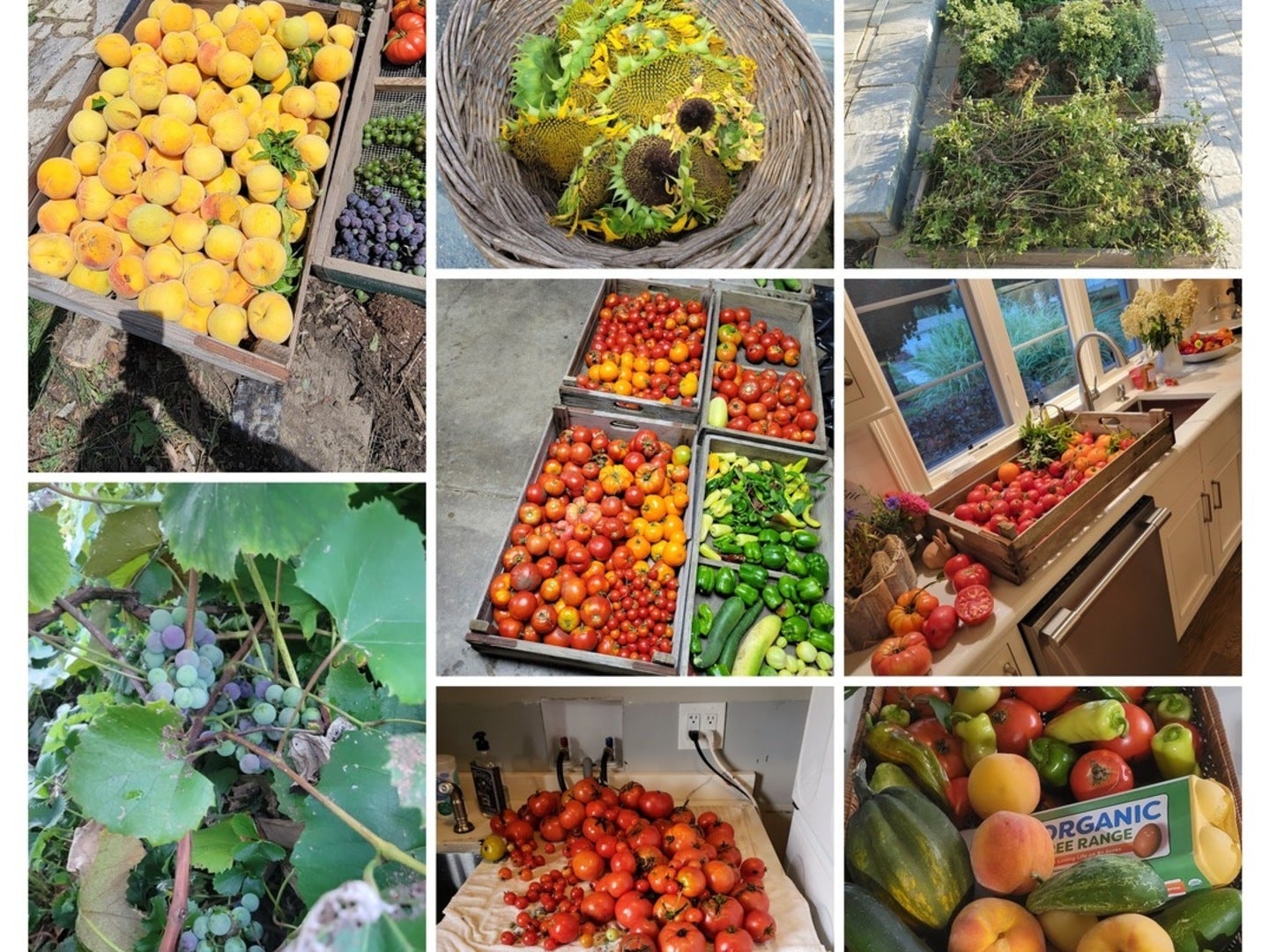 Barrington Hills, Illinois, 60010, United States, 6 Bedrooms Bedrooms, ,4 BathroomsBathrooms,Residential,Active,1987255