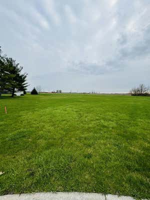 1039 COUNTRY CT, CRETE, IL 60417 - Image 1