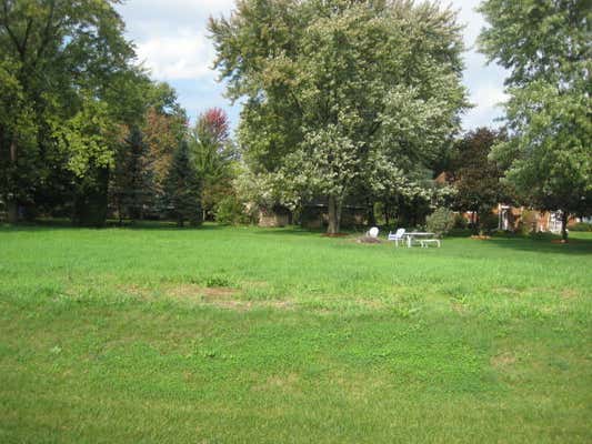 LOT 2 WASHINGTON STREET, BRAIDWOOD, IL 60408 - Image 1