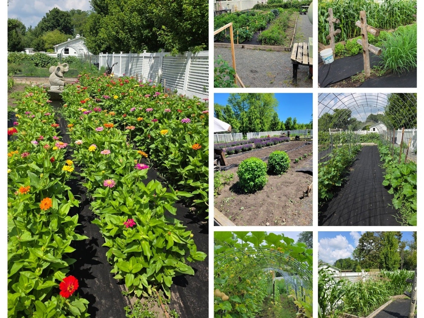 Barrington Hills, Illinois, 60010, United States, 6 Bedrooms Bedrooms, ,4 BathroomsBathrooms,Residential,Active,1987255