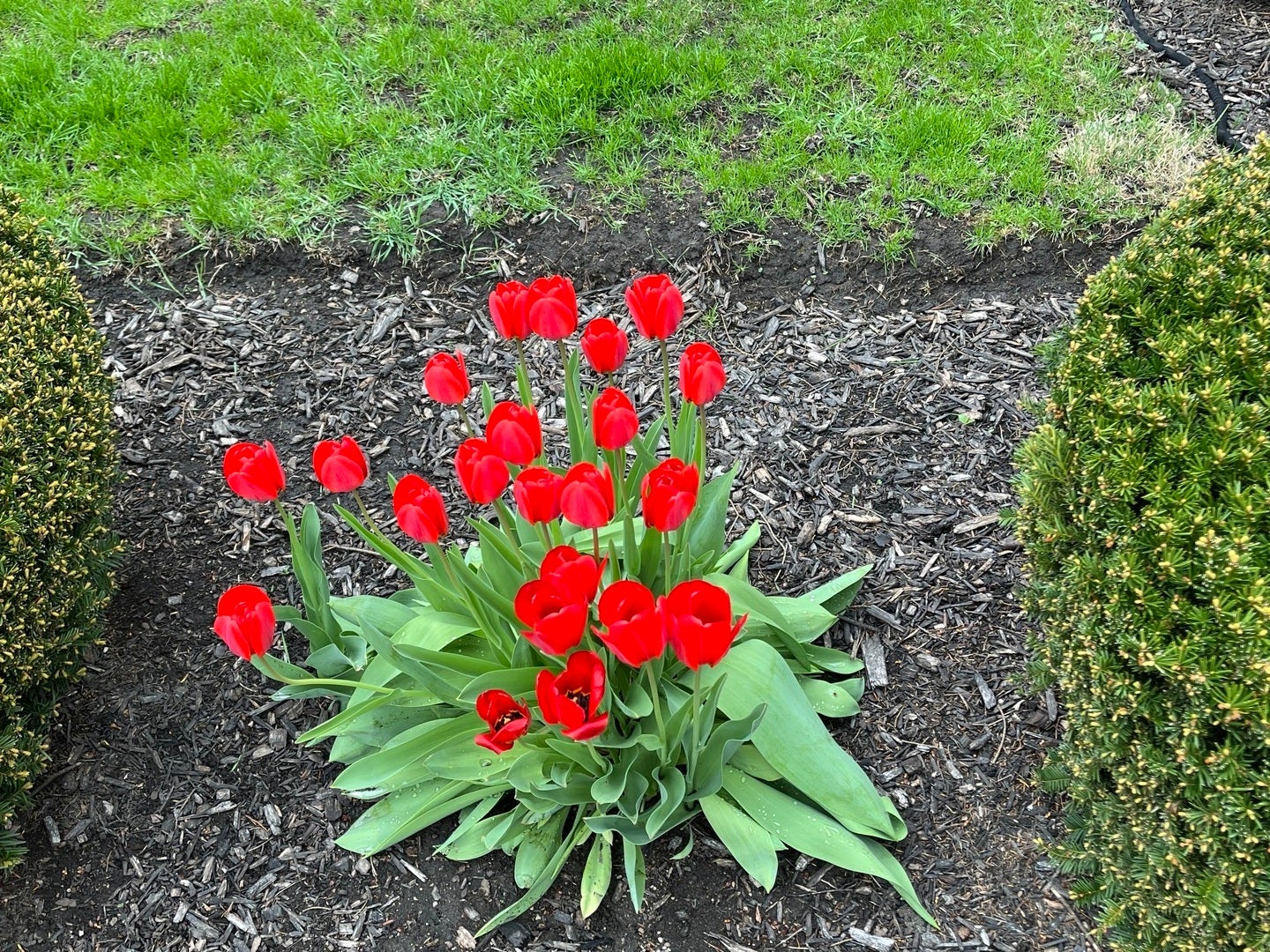 Long Grove, Illinois, 60047, United States, 4 Bedrooms Bedrooms, ,4 BathroomsBathrooms,Residential,Contingent,1972135