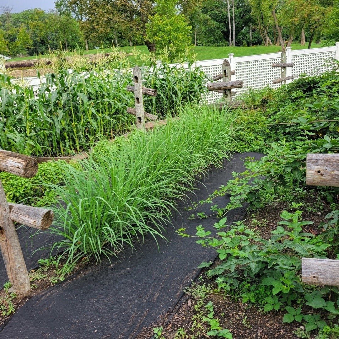 Barrington Hills, Illinois, 60010, United States, 6 Bedrooms Bedrooms, ,5 BathroomsBathrooms,Residential,Active,1987275