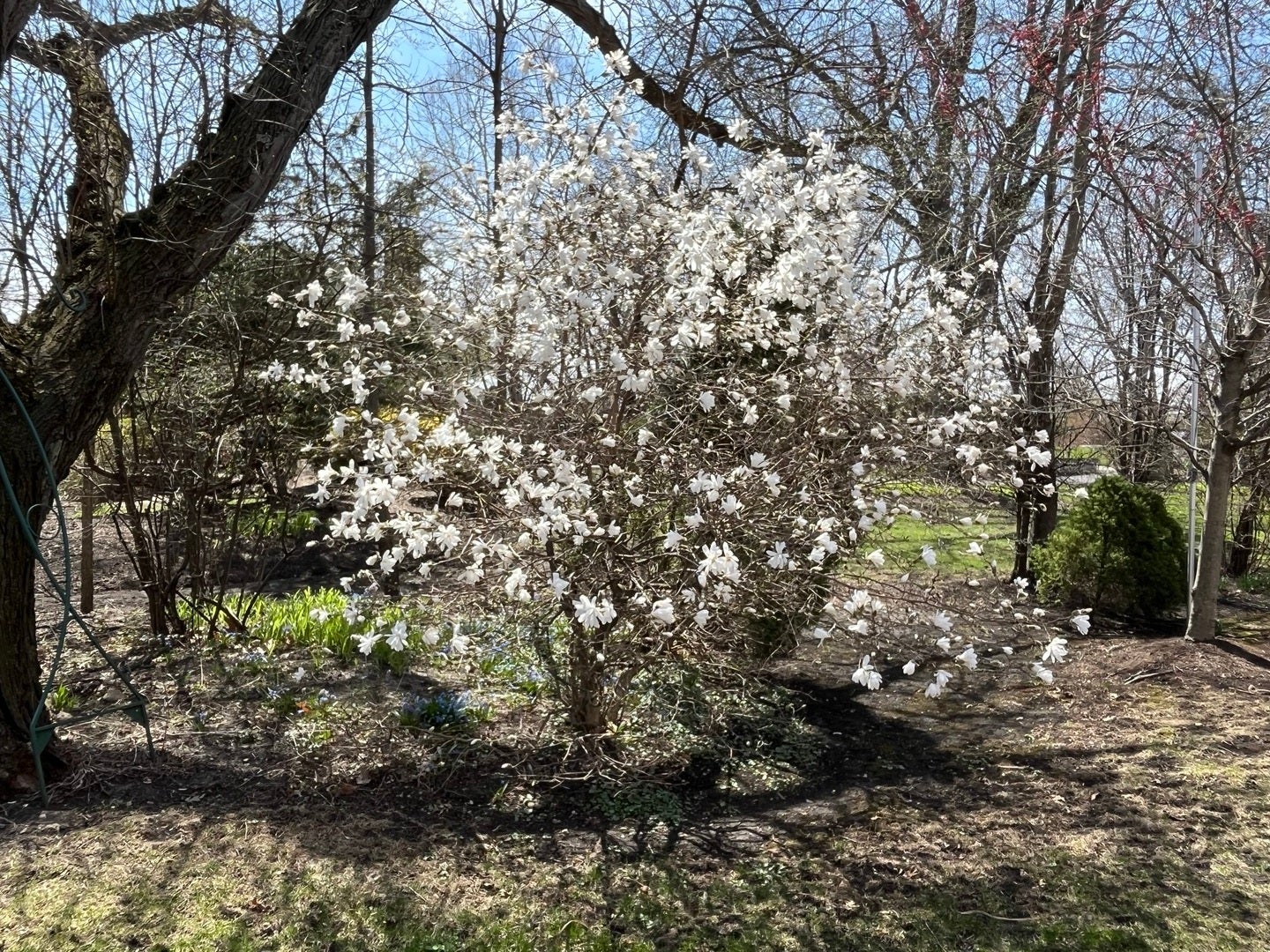 Long Grove, Illinois, 60047, United States, 4 Bedrooms Bedrooms, ,4 BathroomsBathrooms,Residential,Contingent,1972135