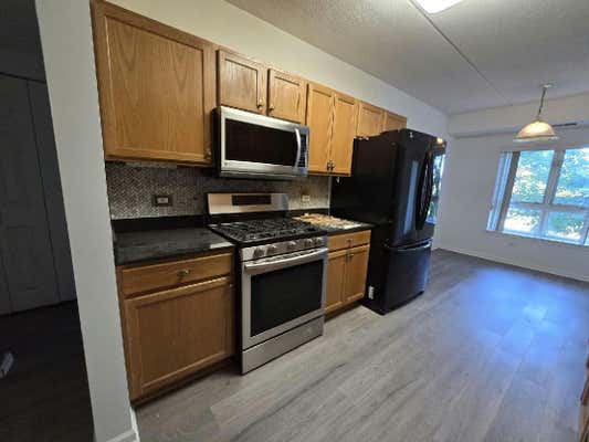 110 N MILWAUKEE AVE APT 201, WHEELING, IL 60090, photo 4 of 15