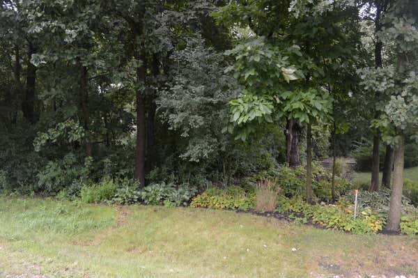 LOT 9 SHADE TREE CIRCLE, LAKEWOOD, IL 60014 - Image 1