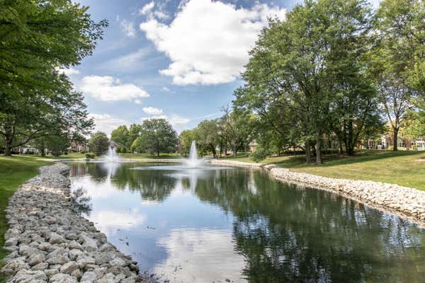 308 SPRING CREEK CIR, SCHAUMBURG, IL 60173, photo 5 of 22