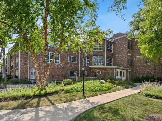 540 BIESTERFIELD RD APT 217, ELK GROVE VILLAGE, IL 60007 - Image 1