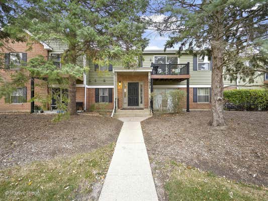 1531 RAYMOND DR APT 202, NAPERVILLE, IL 60563 - Image 1