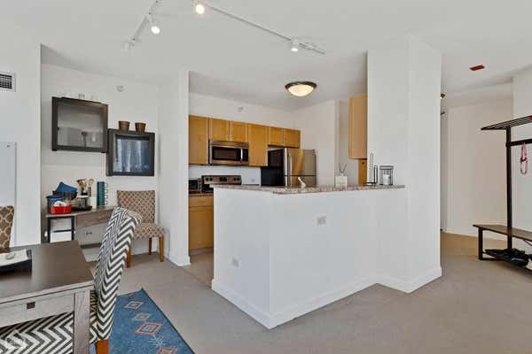 222 N COLUMBUS DR APT 2909, CHICAGO, IL 60601, photo 4 of 22