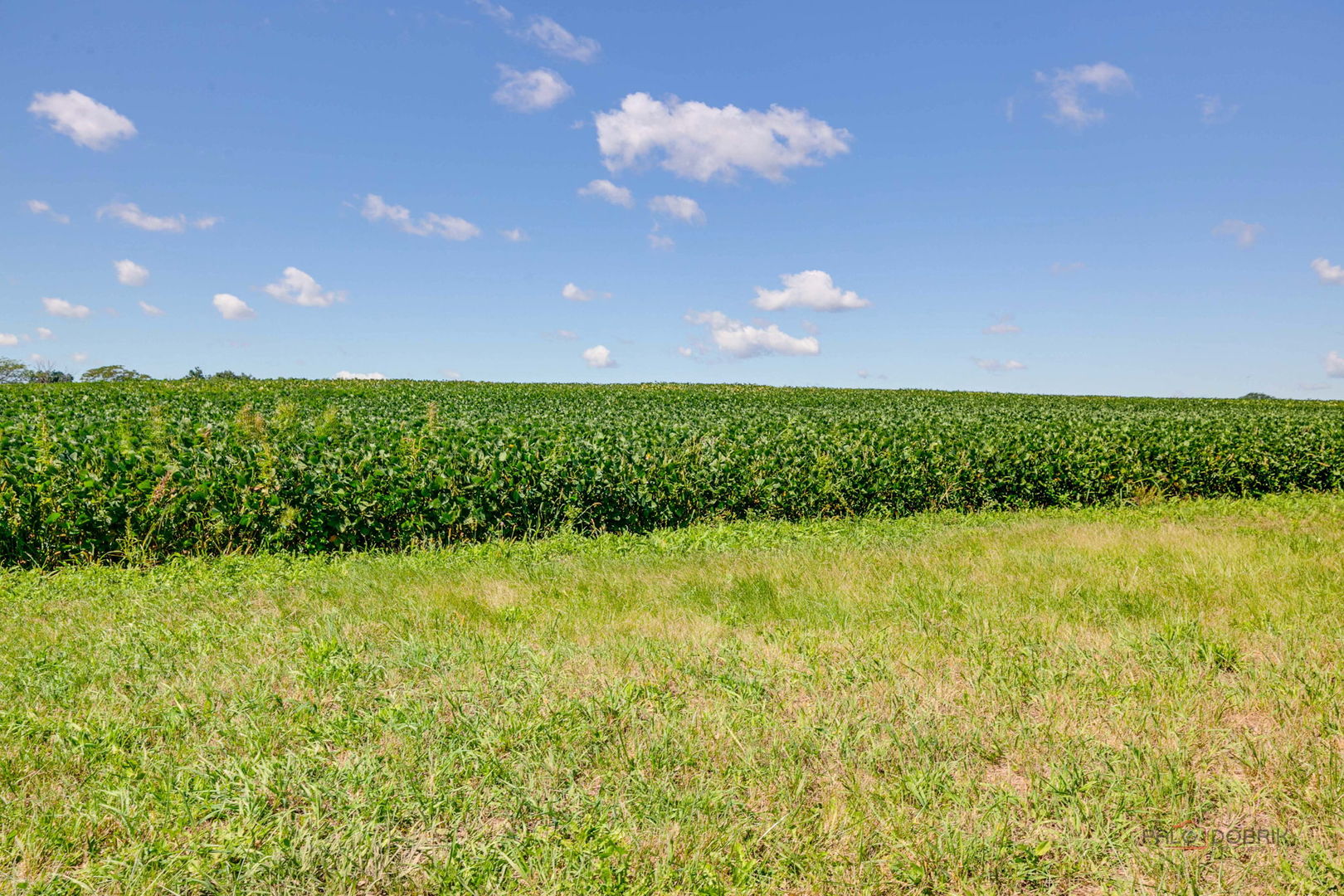 Mundelein, Illinois, 60060, United States, 4 Bedrooms Bedrooms, ,5 BathroomsBathrooms,Residential,Active,1934797