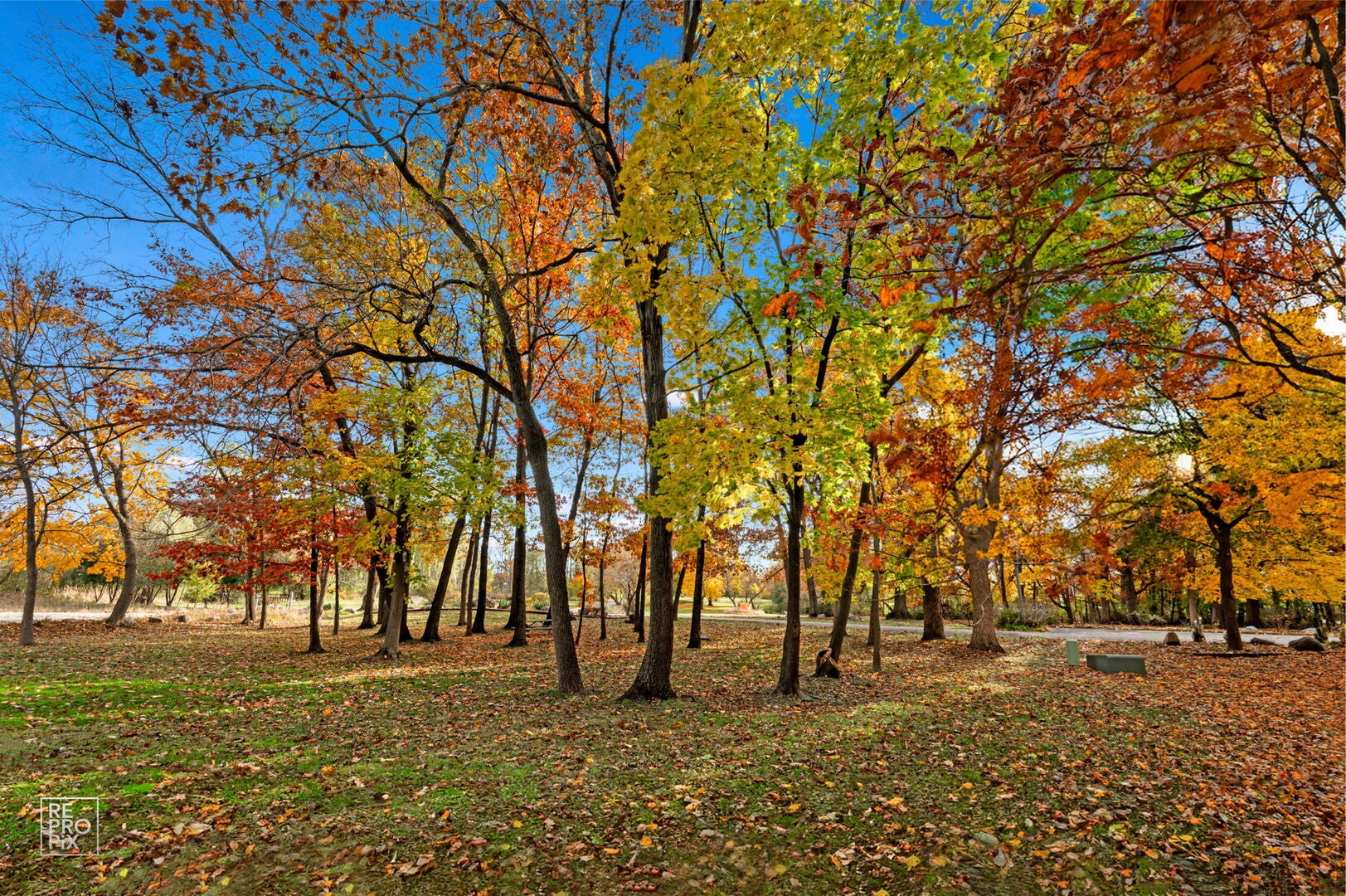 Wadsworth, Illinois, 60083, United States, 5 Bedrooms Bedrooms, ,6 BathroomsBathrooms,Residential,Active,1989775
