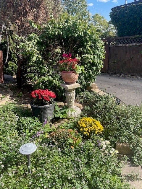 Oak Park, Illinois, 60302, United States, 5 Bedrooms Bedrooms, ,6 BathroomsBathrooms,Residential,Active,1953721