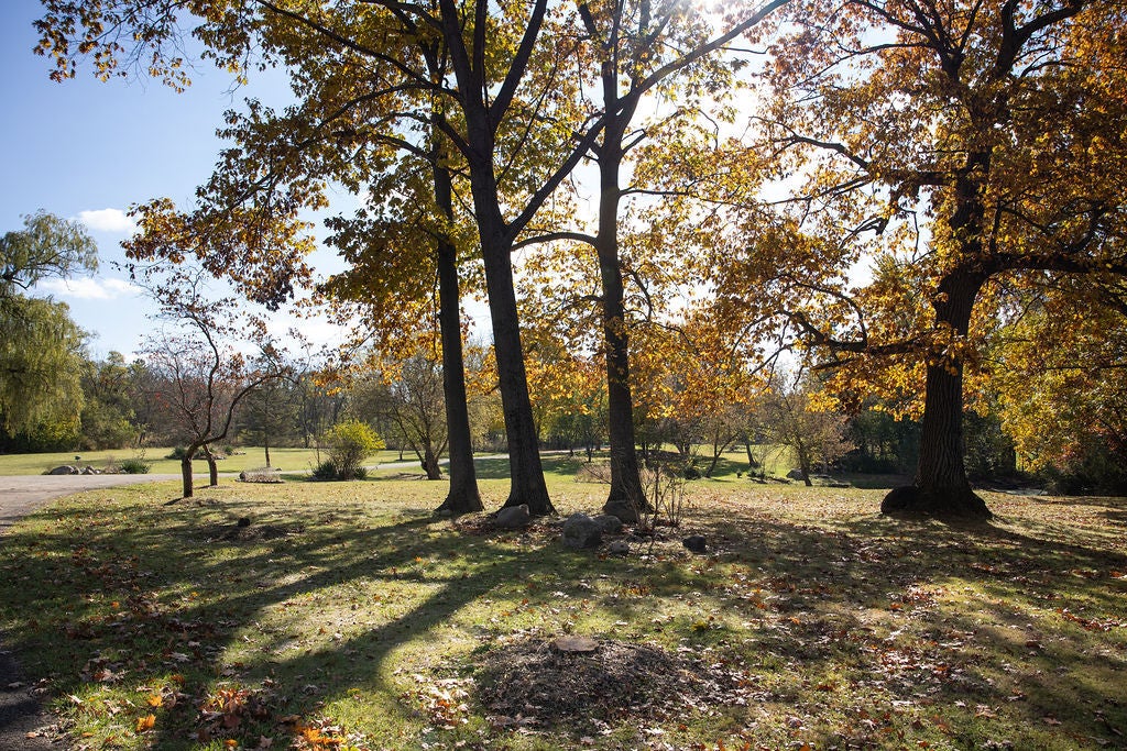 Wadsworth, Illinois, 60083, United States, 5 Bedrooms Bedrooms, ,6 BathroomsBathrooms,Residential,Active,1989775