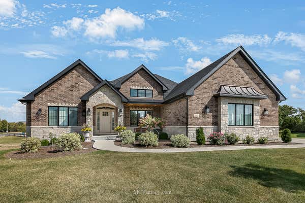 23131 JACKSON BRANCH CT, FRANKFORT, IL 60423 - Image 1