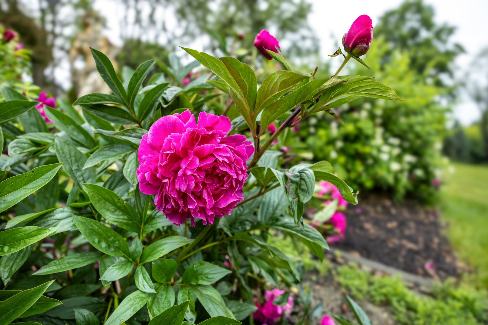 Barrington Hills, Illinois, 60010, United States, 6 Bedrooms Bedrooms, ,4 BathroomsBathrooms,Residential,Active,1987255