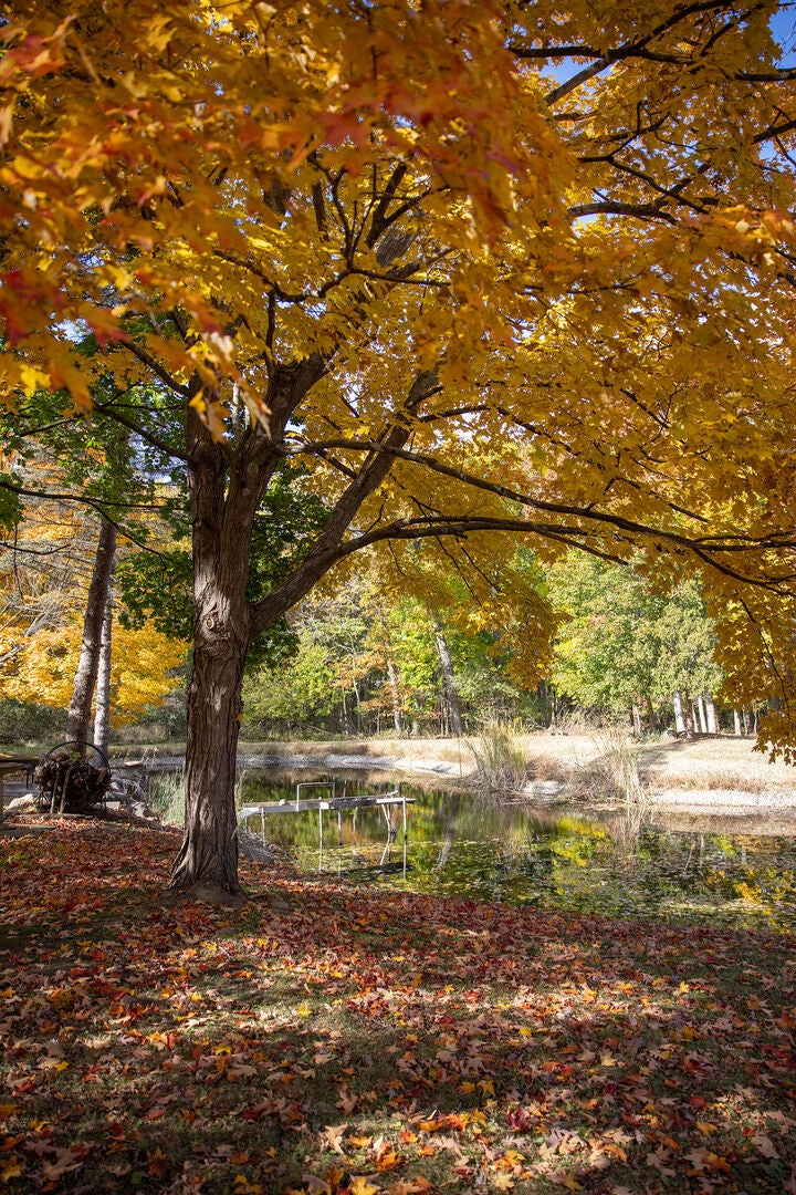 Wadsworth, Illinois, 60083, United States, 5 Bedrooms Bedrooms, ,6 BathroomsBathrooms,Residential,Active,1989775