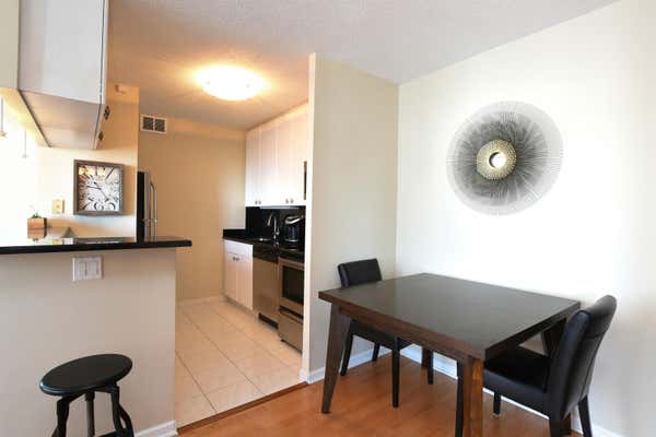 1313 N RITCHIE CT APT 2506, CHICAGO, IL 60610, photo 3 of 18